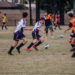 Oakville Summer Soccer