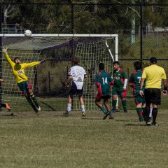 Oakville Soccer