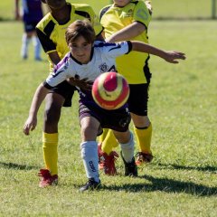 Oakville Soccer Club