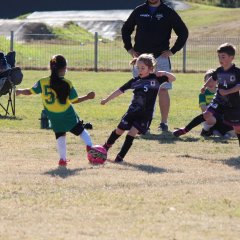 Oakville United Soccer Club